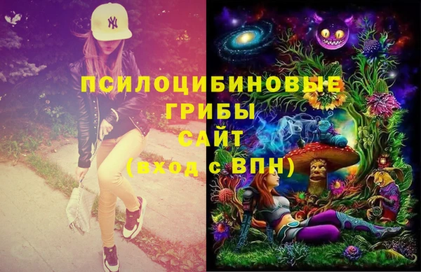 mdma Богданович